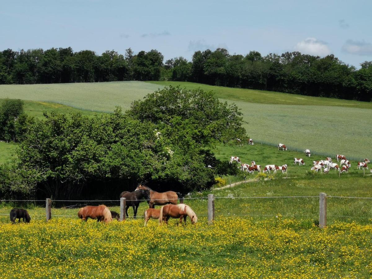 Gite Du Colombier Le Fied Exteriér fotografie
