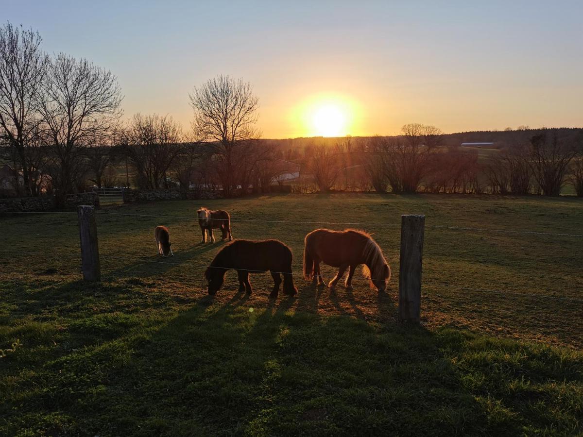 Gite Du Colombier Le Fied Exteriér fotografie