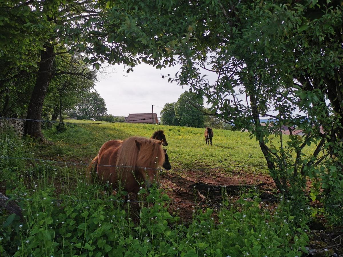Gite Du Colombier Le Fied Exteriér fotografie