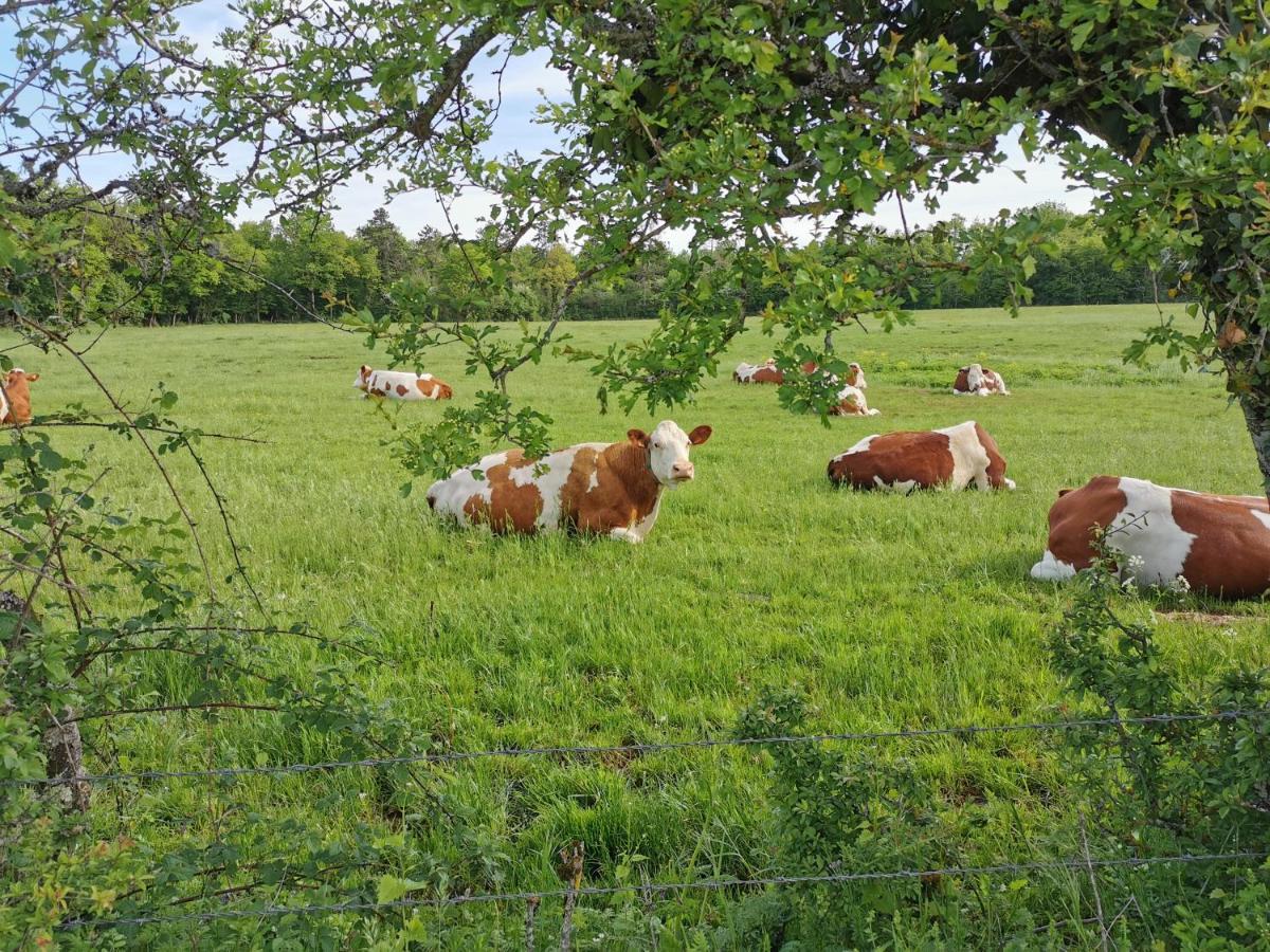 Gite Du Colombier Le Fied Exteriér fotografie