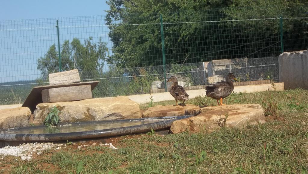 Gite Du Colombier Le Fied Exteriér fotografie