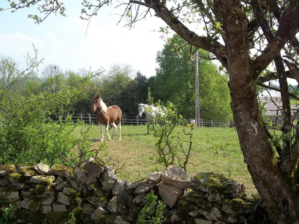 Gite Du Colombier Le Fied Exteriér fotografie