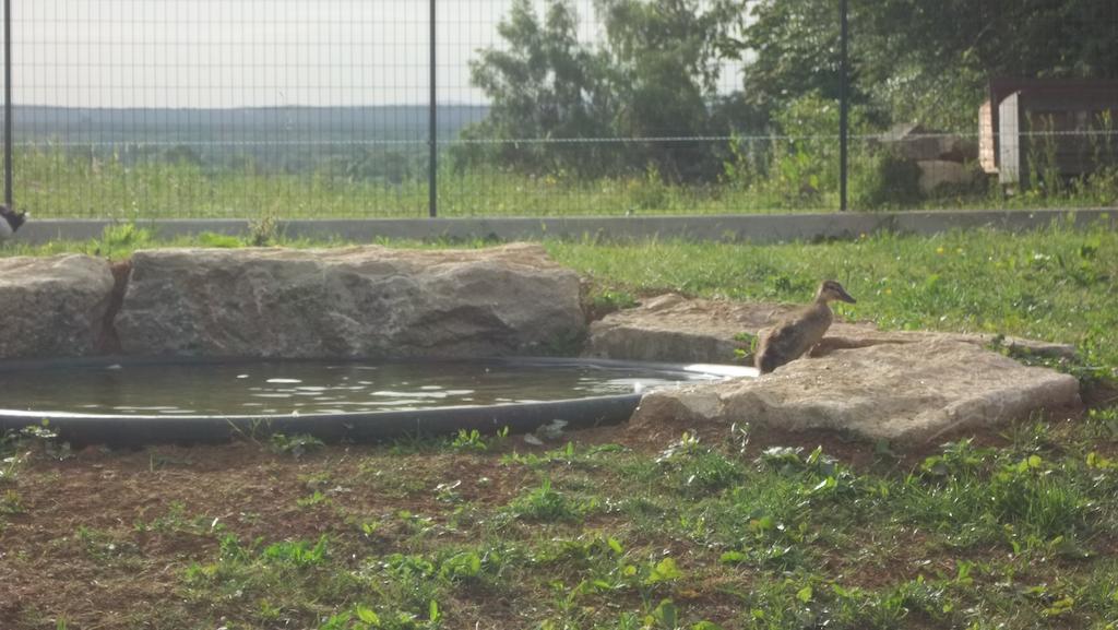 Gite Du Colombier Le Fied Exteriér fotografie